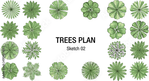 Hand drawn vector set of sketch tree symbols for landscape architecture plans garden design site mapping projects and outdoor urban environment master planning diagrams.