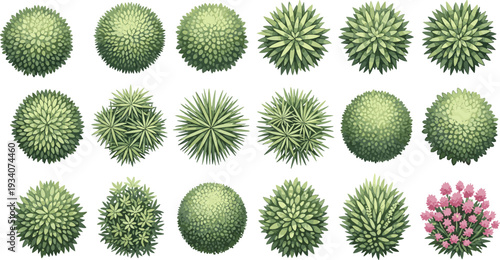 Green Top View Landscape Architecture Plant Symbols Set with Shrub Icons and Flowering Bush Graphics for Professional Garden Design Layouts and Outdoor Site Planning Vectors