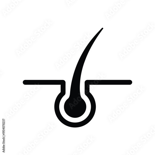 Simple illustration of a human hair follicle and root structure