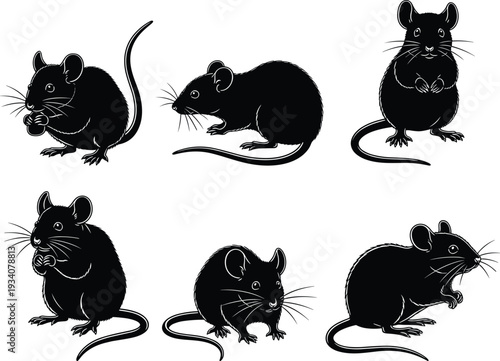 Black silhouette illustration, six mice poses, animal design, rodent study, whiskers detail, long tails, biological concept, educational material, artistic reference, flavector