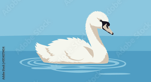 Elegant white swan floating on calm water with gentle ripples illustration