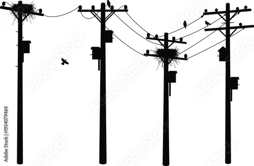 Silhouette utility poles, birds on power lines, nests and birdhouses, electricity distribution network, urban energy grid, electrical infrastructure, industrial skyline, nature coexistence