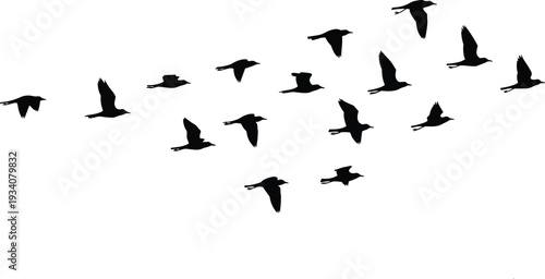 Bird flock silhouette icons set, flying formation, migratory birds, nature wildlife, teamwork flight pattern, sky migration, animal silhouettes, natural behavior