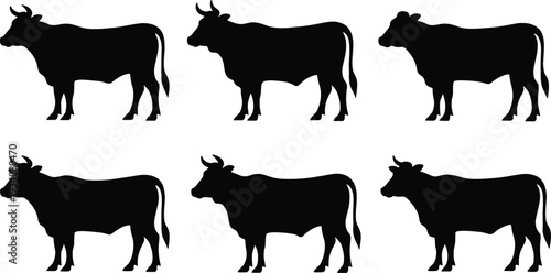 Cow silhouette icons set, farm animal, livestock cattle, dairy cow profile, agriculture farming, rural livestock, horned cow shapes, animal identification