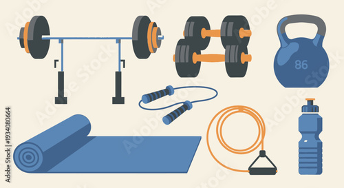 Gym equipment illustration weights barbell jump rope and fitness items