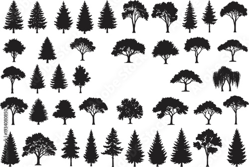 Silhouette tree collection with conifer, deciduous, rounded, irregular, and weeping forms, diverse botanical elements, environmental illustration, natural concept art