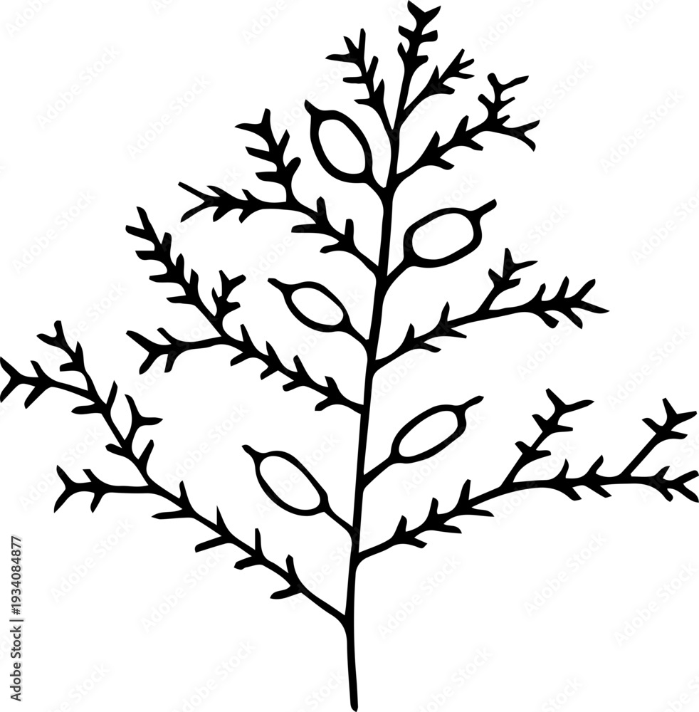 Obraz premium Hand drawing floral element design