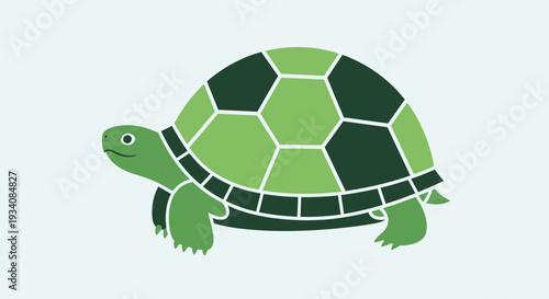 A stylized illustration of a green turtle, perfect for various creative projects