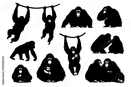 orang-utan animal black silhouette set