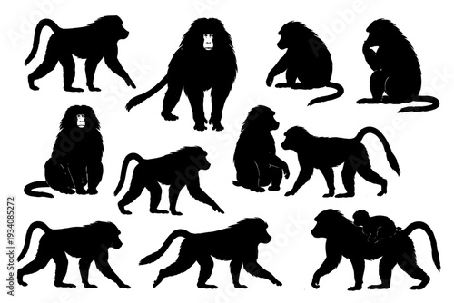 baboon animal black silhouette set