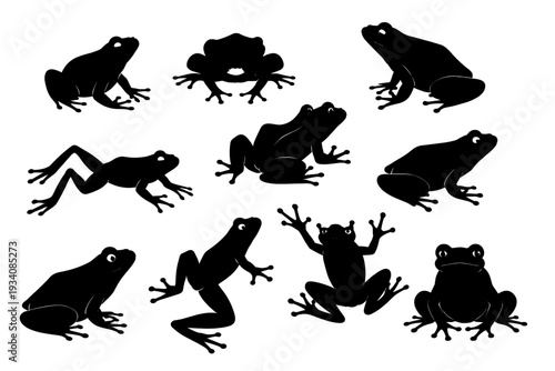 Frog animal black silhouette set