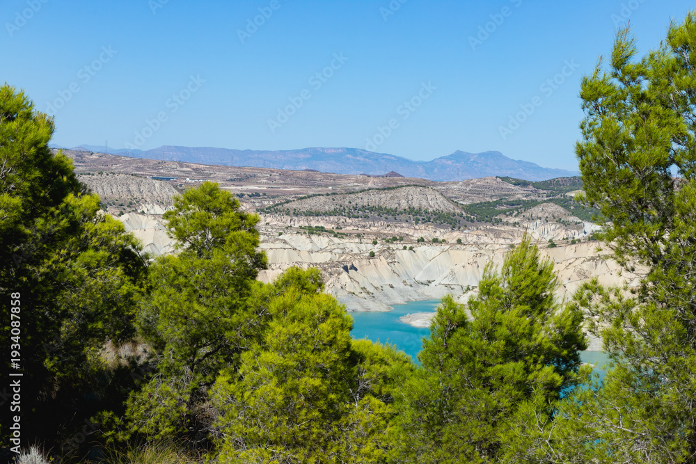 Fototapeta premium Algeciras reservoir framed by pine trees in Murcia Spain