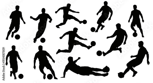 A collection of diverse human head and bust silhouettes showcasing various hairstyles and profiles against a white background.