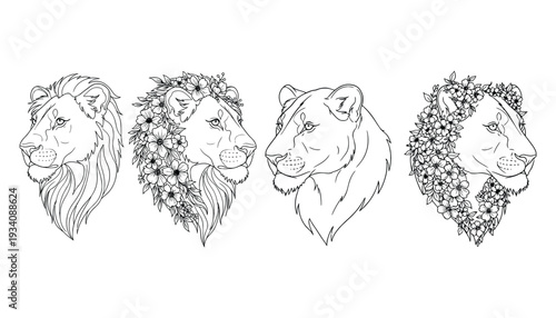 Set of lioness silhouettes in profile