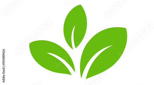 Elegant leaf logo or symbol design