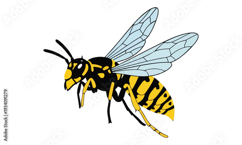 Yellow and Black Wasp Illustration Isolated on White Background