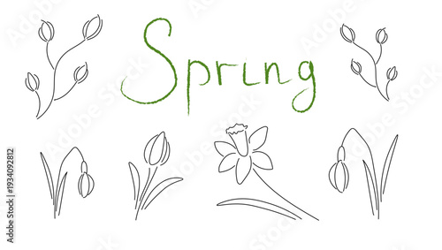 Vector illustration, lines, spring, text