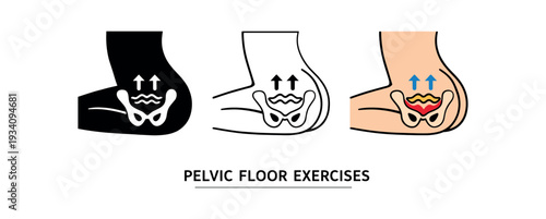 Pelvic floor exercise diagram with muscle activation symbol women' health and wellness icon vector icon set three styles: black solid silhouette thin black outline and flat colored with