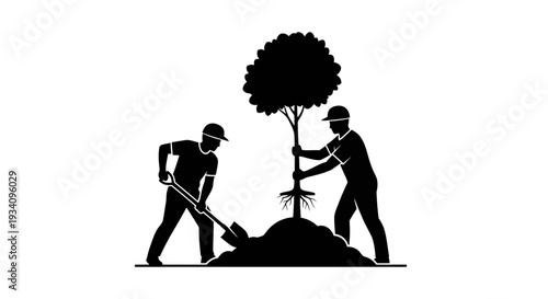 Two workers planting tree with shovel outdoors in garden landscape