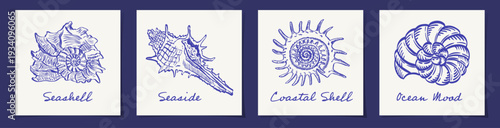 Mediterranean seashell collection with detailed blue line illustrations of vintage marine shells. Coastal seaside elements inspired by ocean nature, perfect for beach, nautical, summer and sea themes.