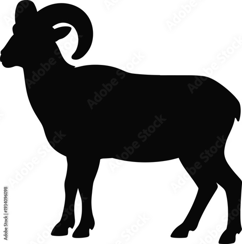 Tableau sur toile Black ram silhouette isolated on white background, bighorn sheep animal shadow i