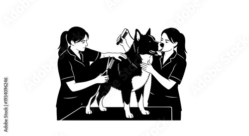Two veterinarians examining a dog on a table indoors closely