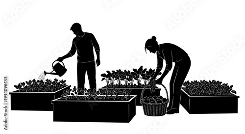 Two people are gardening plants in pots and baskets outdoors