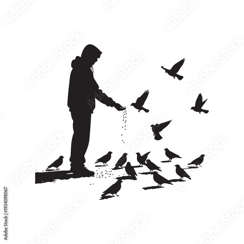 Silhouette of a Person in a Hoodie Feeding a Flock of Birds.
