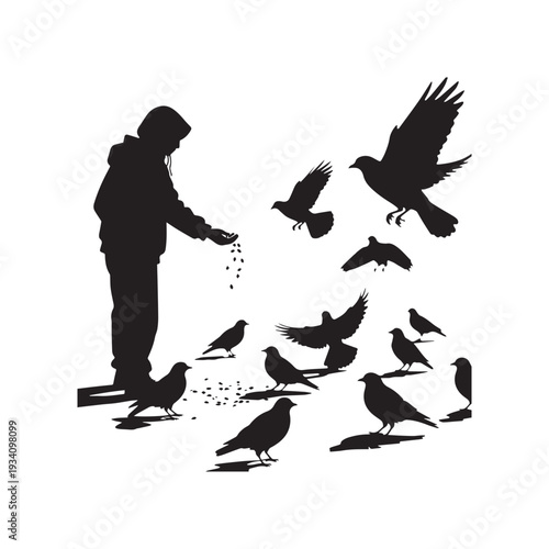  Silhouette of a Person in a Hoodie Feeding a Flock of Birds.