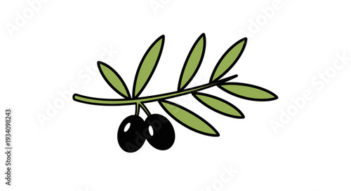 Vibrant Hand-Drawn Olive Branch with Dark Olives and Green Leaves, Perfect for Mediterranean Cuisine and Botanical Designs