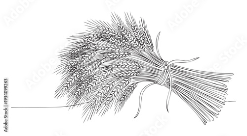 Continuous line drawing of a ripe wheat bundle tied with a ribbon, symbolizing harvest, agriculture, and prosperity, perfect for food packaging, educational materials, or farming industry