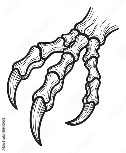 Ferocious monster claw with sharp talons and bony structure ideal for scary Halloween decorations, horror movie posters, mythical book covers, and beast illustrations
