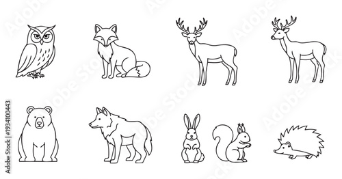 Collection of minimalist line art depictions of wild forest creatures including owl fox deer bear wolf rabbit squirrel and hedgehog perfect for print materials or digital learning