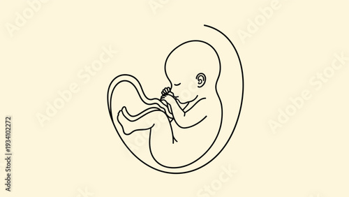 Minimalist line art illustration of a developing human fetus in the womb with umbilical cord on beige background.