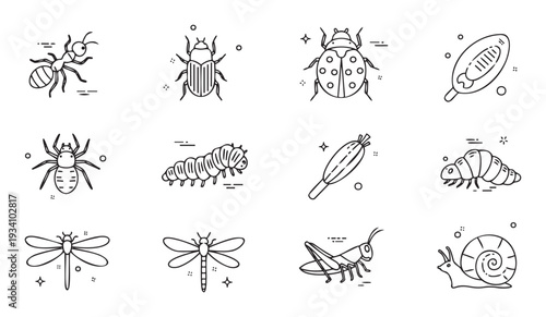 A collection of simple outline insect and bug icons including ant spider ladybug caterpillar and grasshopper perfect for educational materials apps or nature themed projects