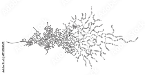 Abstract black line network depicting an interconnected system transitioning from geometric grid structures to organic branching forms, suitable for scientific diagrams and technology