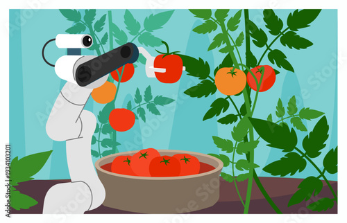 Agriculture farm. Smart farming. Robot picking tomatoes harvest in greenhouse. Innovation robotic technology. Ripe fruit harvesting. Horticulture automation. Artificial intelligence. Vector concept