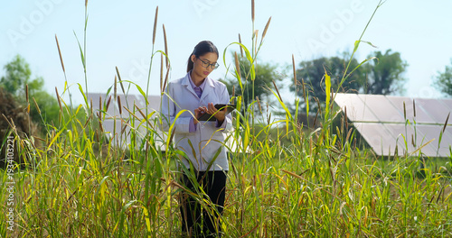 Indian young adult gen z female hold tab look screen visit farm field do work search record data outdoor rural area. Serious staff girl wear white lap coat use tablet device check plant quality ground