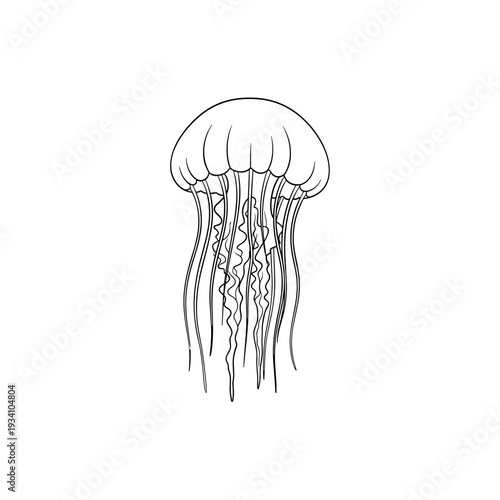Simple Line Drawing of a Jellyfish 1.