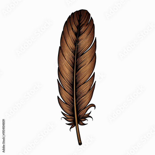 Realistic brown bird feather with intricate texture and black tips isolated on a white background for stationery branding and natural artifact design art.
