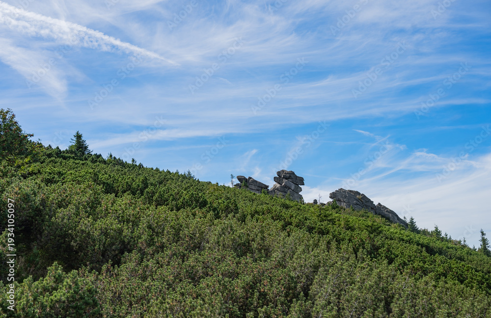 Obraz premium Sudetes, Giant Mountains, Śnieżne Kotły, Schneegruben, Karkonosze, Sudety, Sudetes, Karkonosze, Sudety, Karkonosze, Szrenica, Dolny Slask