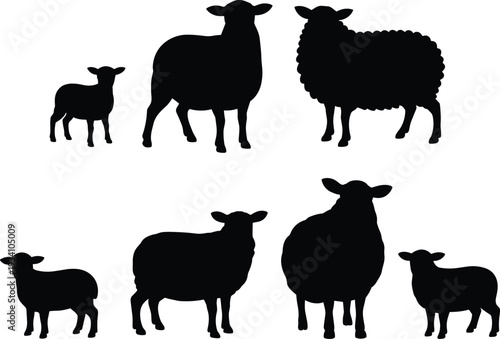 Sheep silhouettes, lamb and adult cattle, farm livestock illustration, wool texture variety, agriculture design, black silhouettes, white background art