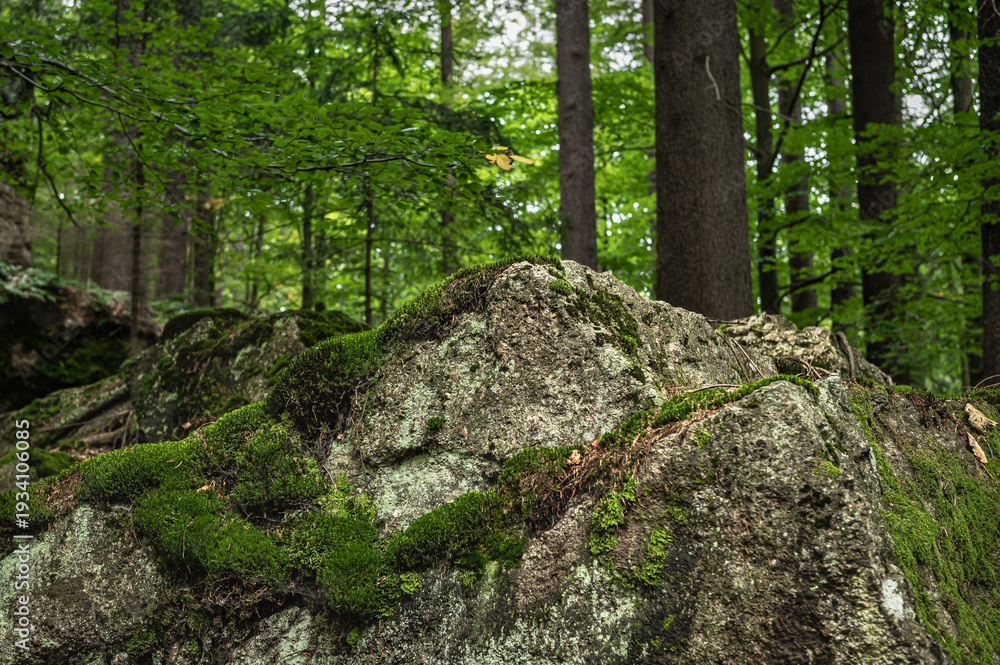 Fototapeta premium Sudetes, Giant Mountains, Śnieżne Kotły, Schneegruben, Karkonosze, Sudety, Sudetes, Karkonosze, Sudety, Karkonosze, Szrenica, Dolny Slask