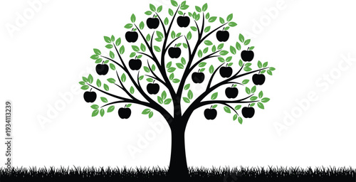 Apple tree with ripe fruits and green leaves, decorative nature illustration isolated on white background, orchard concept vector for agriculture and organic farming themes