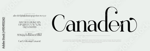 Elegant Font Uppercase Lowercase Number And Ampersand. Classic Lettering Minimal Fashion Designs. Typography modern serif fonts regular decorative vintage concept. vector illustration
