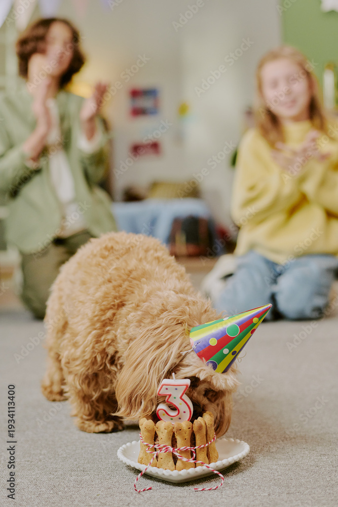 Fototapeta premium Vertical of small dog wearing party hat eating birthday treat with number three candle, while two young Caucasian women sitting in background clapping and smiling during celebration indoors