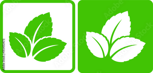 Mint green leaves icons