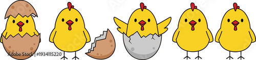 Cute Baby Chick Hatching from Egg, Fun and Creative Chicken Life Cycle Illustration for Kids, Learning and Educational Design