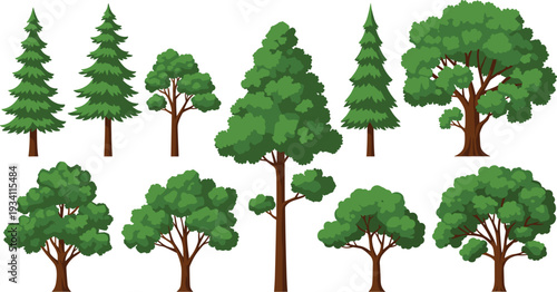 Big green forest trees vector set flat style isolated on white