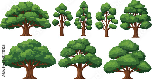 Big mature green trees flat vector illustration isolated on white background